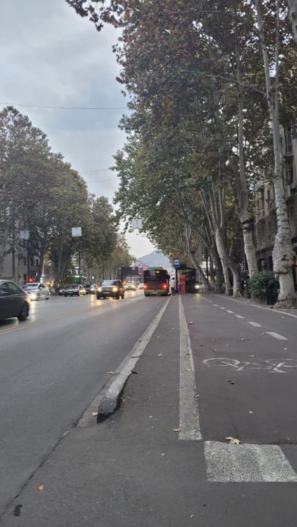 Apartment in Tbilisi