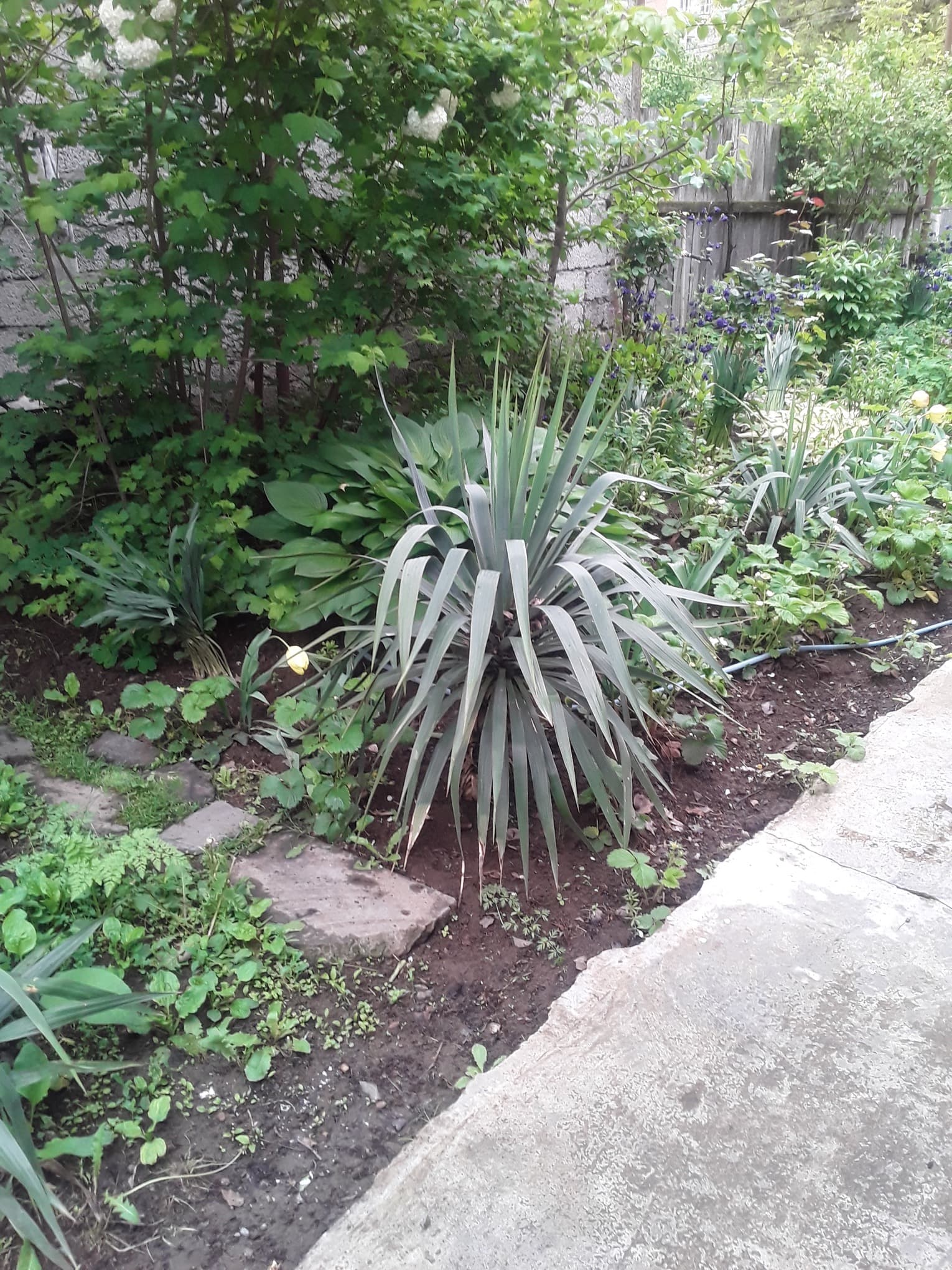 საოჯახო სასტუმრო ზვიადი