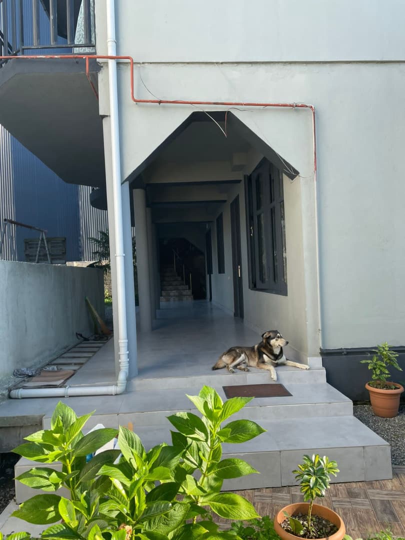 Grey Side Guest Home